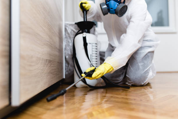 Best Best Pest Control Companies  in Grabill, IN