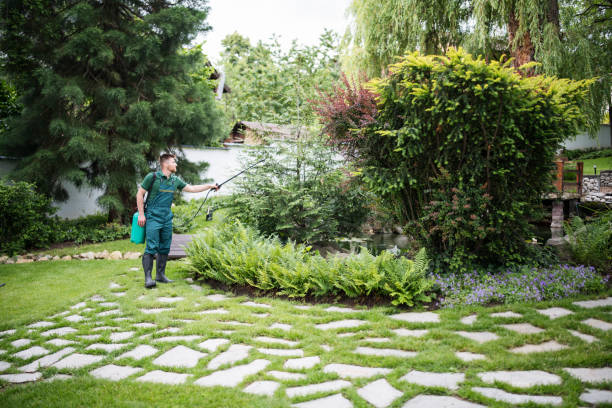 Best Mosquito Control Services  in Grabill, IN