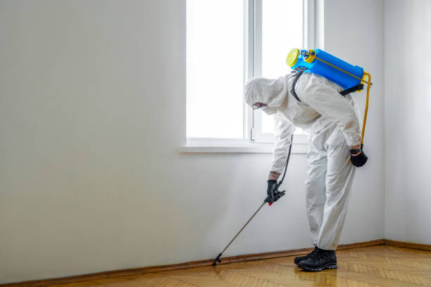 Best Exterminator Services  in Grabill, IN