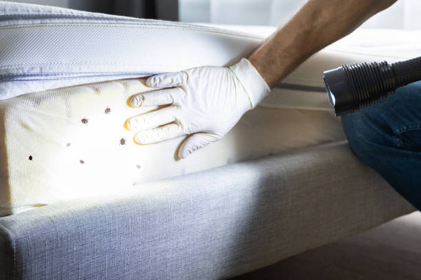 Best Affordable Exterminators  in Grabill, IN