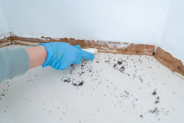 Best Best Pest Control Companies  in Grabill, IN